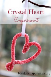 Crystal Heart Science Experiment