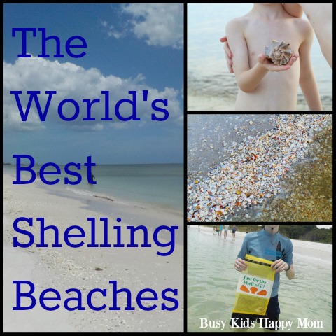 World's Best Shelling Beaches