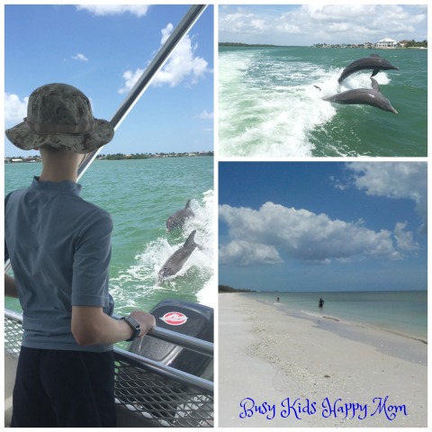 Exploring Florida with Dolphins